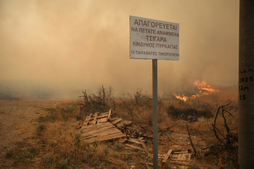 "Il est interdit de jeter des cigarettes, cela peut provoquer un incendie", dit un panneau dans la région de Megara en proie à un feu, le 3 août 2026. — Aris Oikonomou / AFP