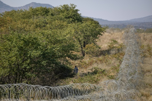 Vast stretches of South Africa's border remain unfenced