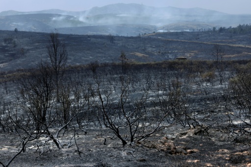 Spanien: Evakuierung mehrerer Gemeinden wegen Waldbrands nahe Madrid