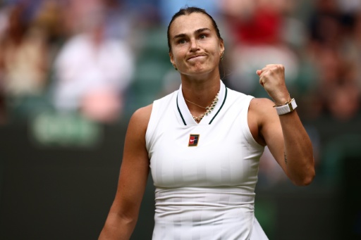 'Let the dogs in': Sabalenka wants Wimbledon to lift ban