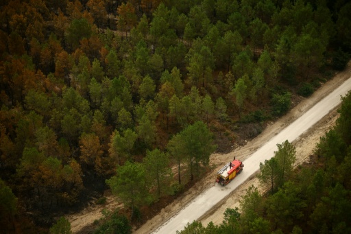 Incendie en Gironde: situation "stable" dimanche, le feu "n'évolue plus", selon la préfecture