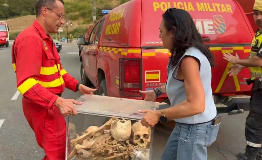 Bones of medieval kings saved from Spanish wildfire
