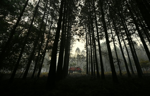 Un camion de pompiers passant devant des arbres brûlés dans la forêt de Luglon, le 14 août 2026 dans les Landes — Gaizka IROZ / AFP