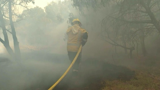 Dans le Var, le feu toujours pas fixé mais ne progresse plus