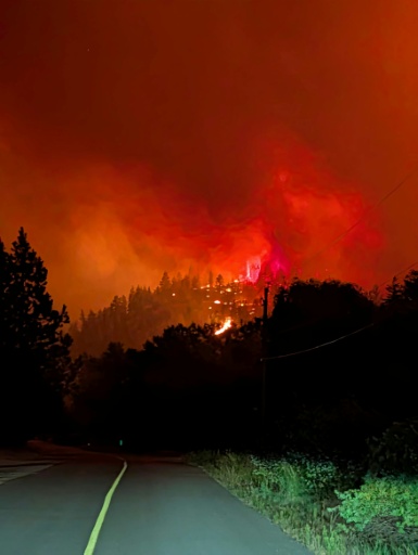 Photo prise le 7 août 2026 et diffusée le lendemain par le Service canadien de la faune de Colombie-Britannique montrant un incendie de forêt en cours près de Summerland, dans l’ouest du Canada — Handout / AFP