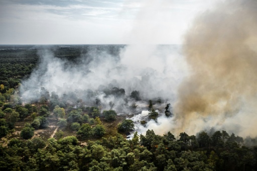 Feuerwehrleute und Hubschrauber bekämpfen Brand in Naturschutzgebiet in Niederlanden