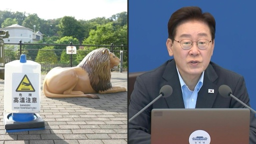 Onda de calor mata leoas em zoológico no Japão e faz vítimas na Coreia do Sul