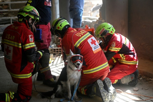 Mexican rescue workers are seen with Halley, the dog that helped find a man alive eight days after the earthquake disaster