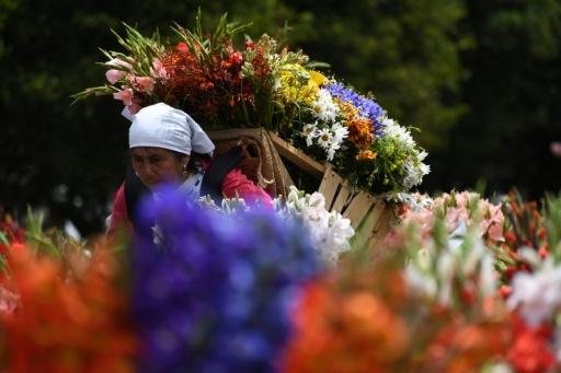 Blumenfestival