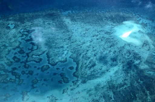 El Niño: un "effondrement" de l'écosystème de la Grande Barrière de corail redouté