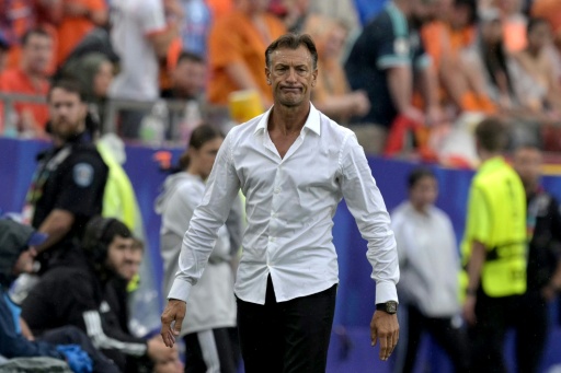 Coach Renard leaves Tunisia after World Cup group-stage exit