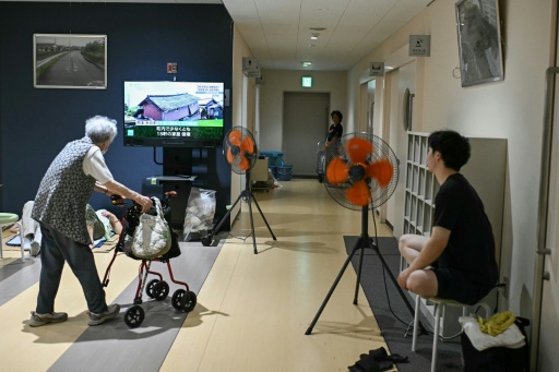 Japan has the world's second oldest population — Philip FONG / AFP