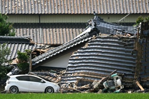 Sniffer dogs search mall wrecked after Japan quake