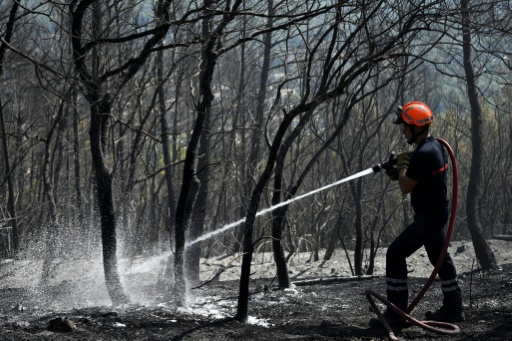 Un pompier arrose une zone brûlée à Cotignac, dans le Var, le 24 juillet 2026 — Frederic DIDES / AFP