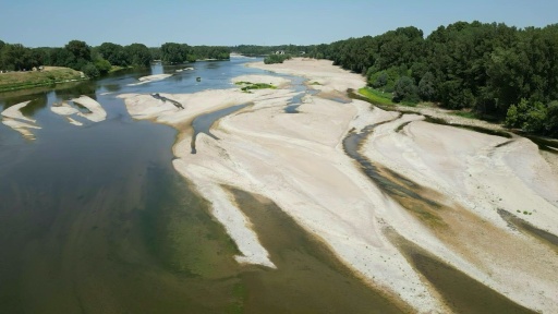 La Loire, en alerte, éprouvée par une sécheresse exceptionnelle