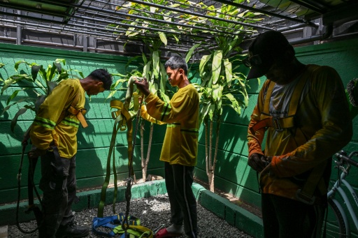 Workers put on safety gear before installing solar panels on a roof in Carmona, in the Philippine province of Cavite — Jam STA ROSA / AFP