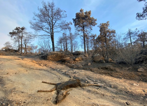 Los incendios cerca de Madrid ralentizan su avance, aunque siguen sin estabilizar