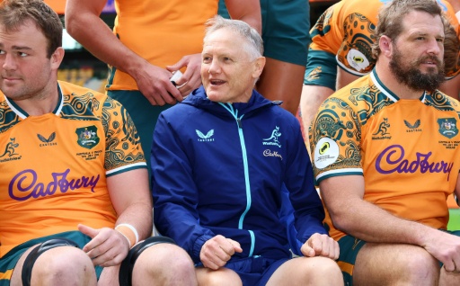 Schmidt aims to leave Wallabies 'in good order' for incoming Kiss