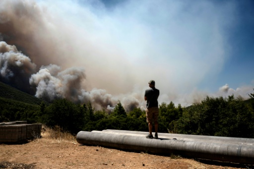 Un homme regarde un incendie de forêt en progression dans la région de Porto Germeno, en Grèce, le 1er août 2026 — Angelos TZORTZINIS / AFP