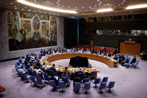 Nouveau vote au Conseil de sécurité pour désigner le prochain chef de l'ONU