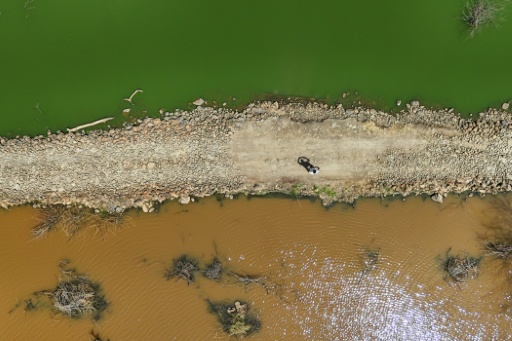 Imagen aérea del lago alcalino Bogoria, en la parte alta, adyacente al pantano de agua dulce Kiborggoch, en Kenia, el 29 de julio de 2026 — Tony KARUMBA / AFP