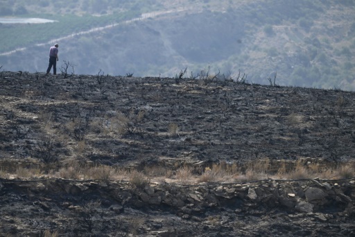 Un hombre camina entre la tierra quemada en Alfaix, provincia de Almería, el 11 de julio de 2026