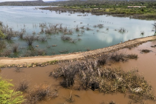 Une image aérienne montre, le 29 juillet 2026, le voisinage entre l'eau saline du lac Bogoria, au Kenya, et l'eau douce du marais de Kiborgoch, alimenté par un affluent du lac Baringo — Tony KARUMBA / AFP