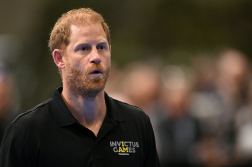 Prinz Harry zieht sich aus afrikanischer Naturschutzorganisation zurück
