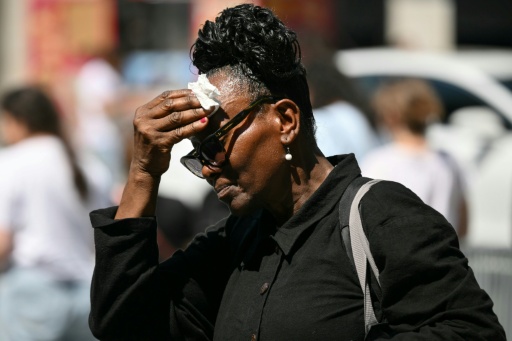 The heat index in New York City stood at around 105F (41C) in the mid-afternoon of Friday