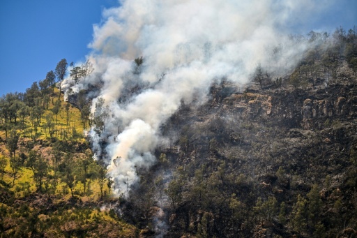 Eighth day of wildfires in Indonesian national park