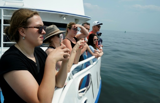 Climate change is playing a role in the surge of New York-area whale sightings — TIMOTHY A. CLARY / AFP