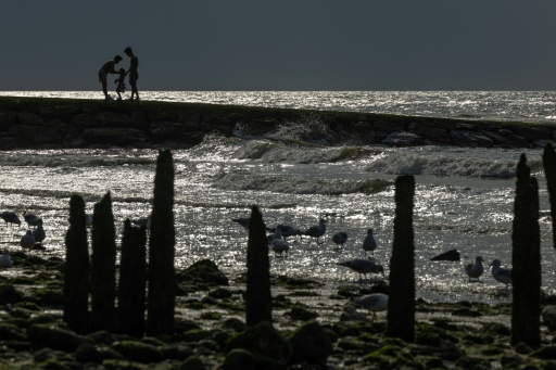 - Promenade familiale -