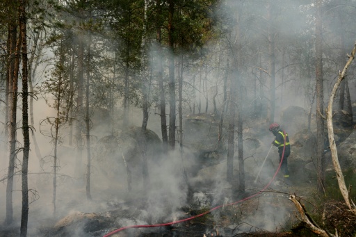 Waldbrand südlich von Paris: Feuerwehrmann gesteht Brandstiftung