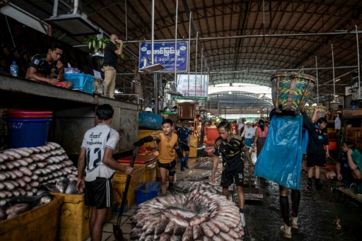 About 400,000 viss -- a traditional unit of weight in Myanmar -- equivalent to more than 650,000 kilograms (1.43 million pounds) of freshwater products pass through Shwe Padauk market daily — Sai Aung MAIN / AFP