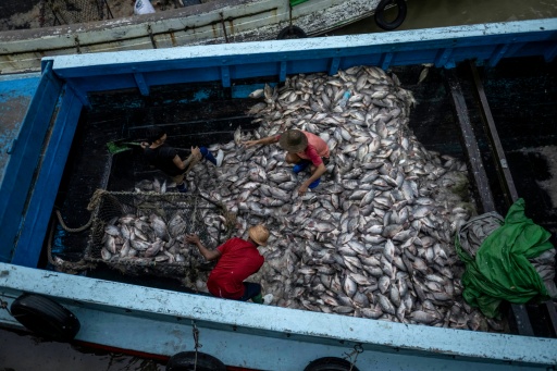 Workers at the Yangon fish markets said they earned between 15,000 to 25,000 kyats ($7 to $12) a day -- more than garment factory workers, who unions say are paid 10,000 to 20,000 — Sai Aung MAIN / AFP