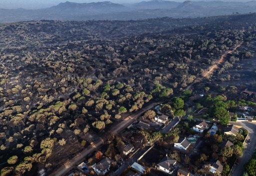 Incendies en Europe : les derniers développements