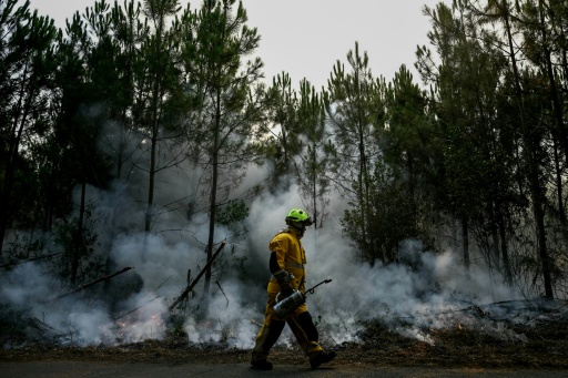 Un pompier dans une forêt au Porge, au nord du bassin d'Arcachon, le 30 juillet 2026, pendant les incendies de forêt qui touchent la Gironde, dans le sud-ouest de la France. — Philippe Lopez / AFP