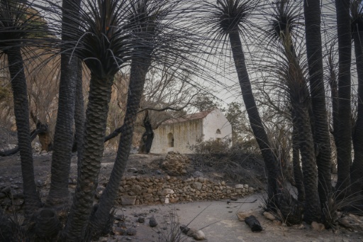 Des palmiers brûlés près d'une chapelle après un incendie sur l'île grecque de Crète, le 31 juillet 2026 — Costas Metaxakis / AFP