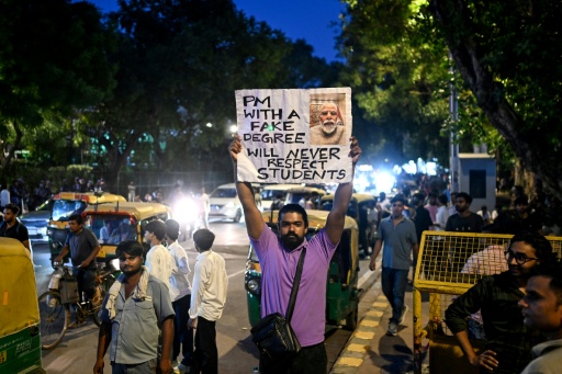 Un partisan du "Parti du peuple des cafards"(CJP) brandit une pancarte à Connaught Place, à New Delhi, le 24 juillet 2026 — Sajjad HUSSAIN / AFP