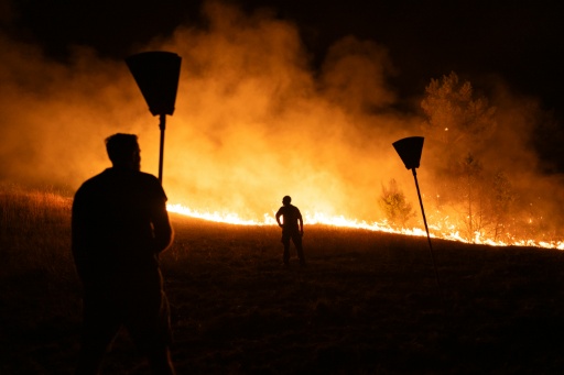 Des pompiers et des habitants luttent contre un incendie de forêt près du village de Dubovac, à environ 70 km au nord-est de Belgrade — Uros Arsic / AFP