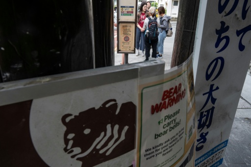 Bären-Abwehrspray versehentlich ausgelöst: Fünf Menschen in Japan im Krankenhaus