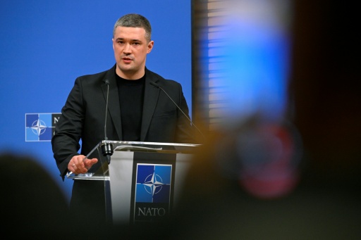 Proteste in der Ukraine gegen Rücktritt von beliebtem Verteidigungsminister Fedorow