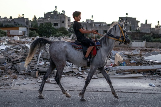 صبي فلسطيني يمتطي حصانا مارا بأنقاض ما يقرب من أربعة وعشرين متجرا هدمتها الجرافات الإسرائيلية بذريعة عدم الحصول على ترخيص بناء — زين جعفر