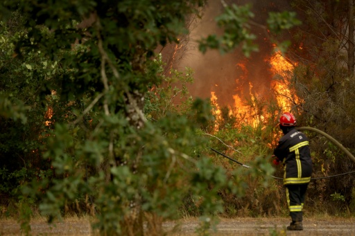 France is facing a 'historic' wildfire emergency, with the devastation and evacuations looking to be unrivalled in peacetime — ROMAIN PERROCHEAU / AFP
