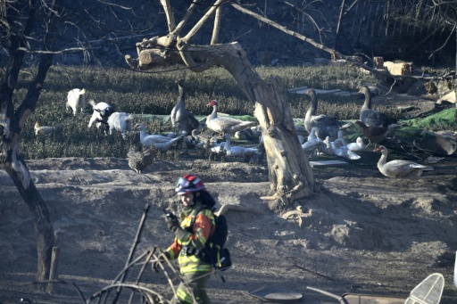 Large tracts of land in Spain and France have been left parched by successive heatwaves, made more extreme by climate change — Jose JORDAN / AFP