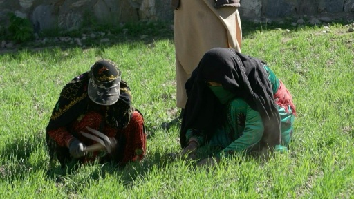 The Afghan women farmers keeping their village alive