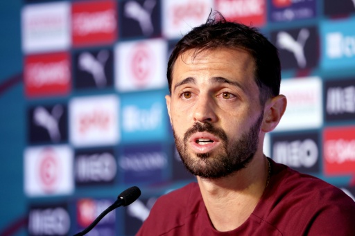 Portugal's Silva bides his time after being benched at World Cup