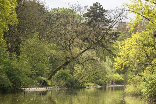 Le lac de Saint-Mandé, au coeur du bois de Vincennes, à Paris, le 2 avril 2026 — Martin LELIEVRE / AFP