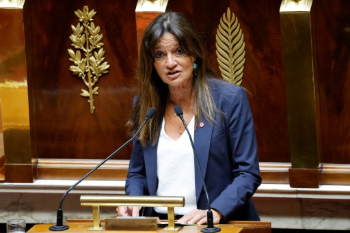 Nathalie Colin-Oesterle, députée du groupe Horizons et Indépendants, prend la parole à l'Assemblée nationale, à Paris, le 12 mai 2025