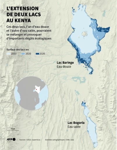 Carte montrant les surfaces des lacs Baringo et Bogoria au Kenya en 2010, 2020 et 2026, qui risquent de se mélanger dans le futur — Pauline PAILLASSA, Jean-Michel CORNU, Sabrina BLANCHARD / AFP